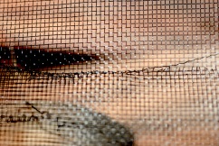 Chris Turnbull screen-close-up